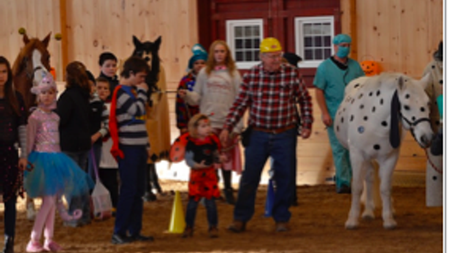 Image: Halloween Herd Parade