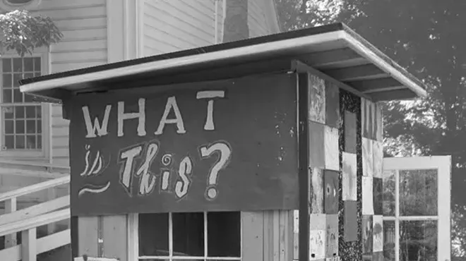 Image: The Woodstock Artists Association & Museum and Habitat for Artists will team up for a community engagement art project at WAAM during October and November