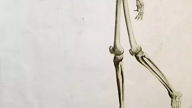 Image: Embodying the Bones of the Feet with Kate Hagerman