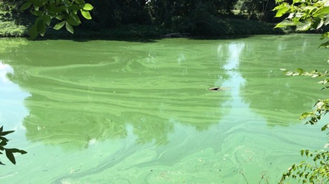 Why Did the River Turn Green?: Harmful Algae Blooms and the Wallkill River