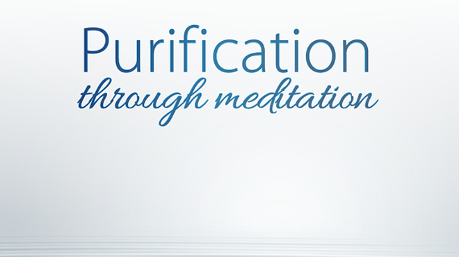 Learn to Meditate in Half a Day: Purification through Meditation with Buddhist Monk Gen Samten