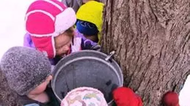 Image: Maple Fest