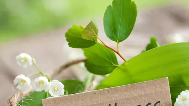 Image: Living Ayurveda: A One Day Retreat with Claudia Gukeisen