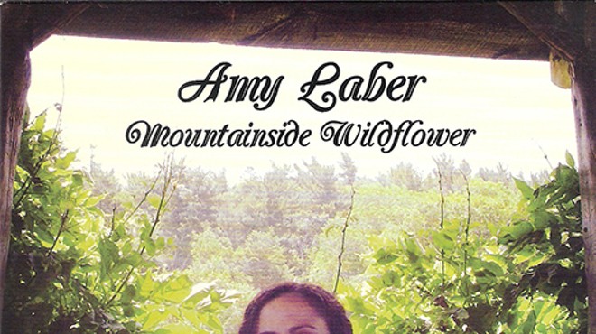 CD Review: Amy Laber