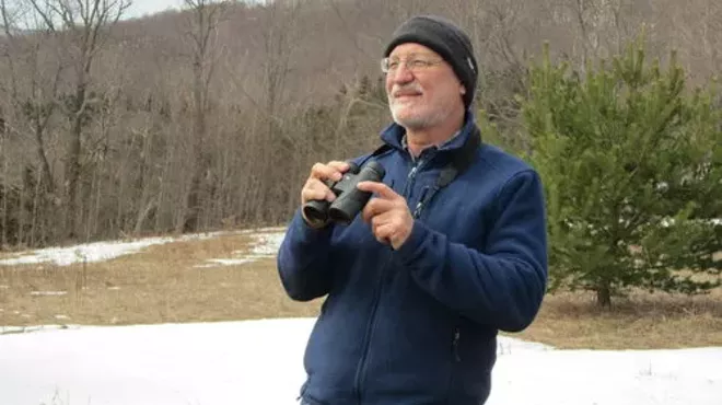 Image: Spring Birds in the Catskills