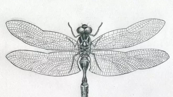 Image: Dragonfly Story Hour: A Story Slam for Adults