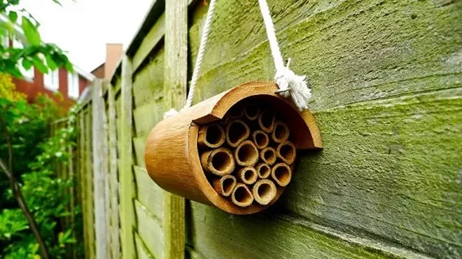 Image: 'Birds and Bees' House-building Workshop