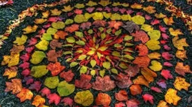 Image: Restorative Yoga Class