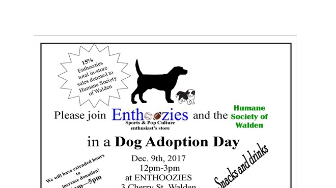 Dog Adoption Day