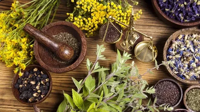 Image: Herbal Know-How at Home