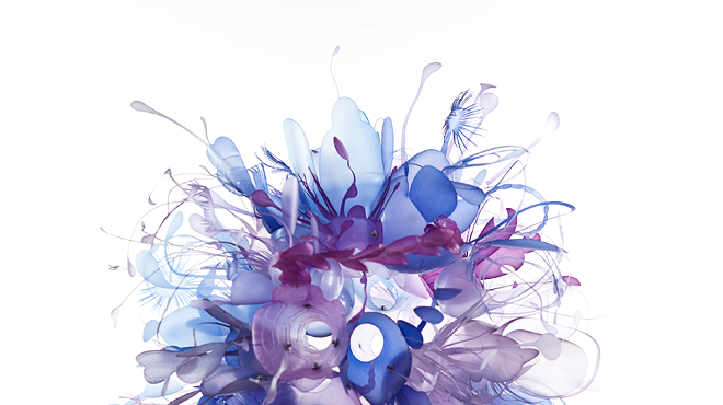 Image: Aqueous Remains