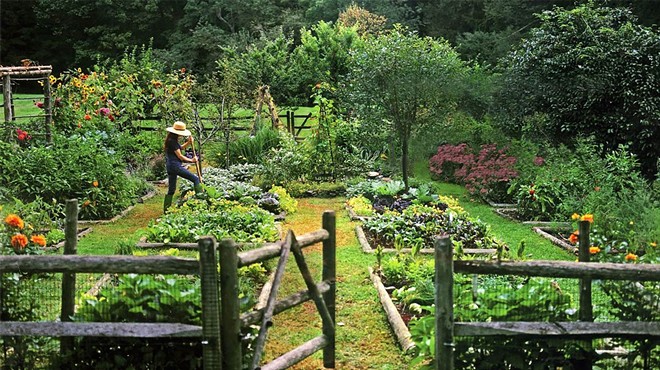 Digging Deeper: I Plant, Therefore I Am– Stories from a Connecticut Kitchen Garden