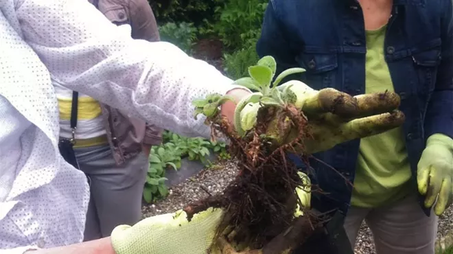 Image: Hands-in-the-Dirt Workshop: Fertilization and Soil Amendment