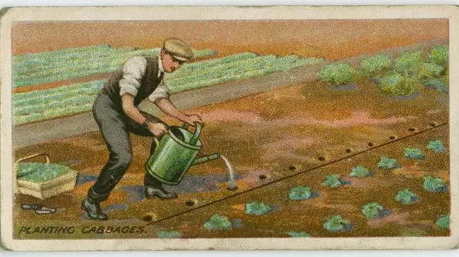 Image: The Garden Hour
