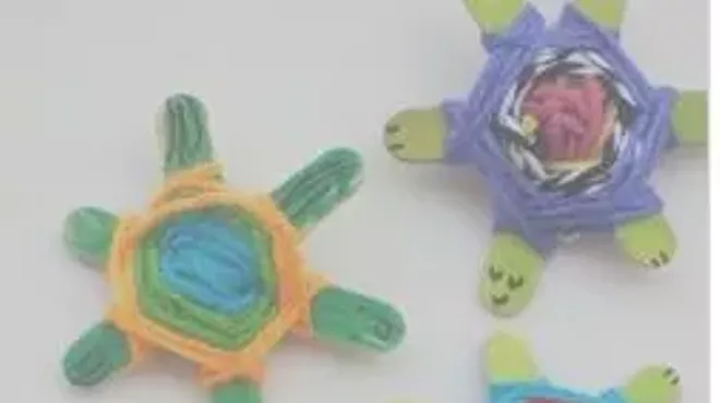 Image: Terrific Turtles