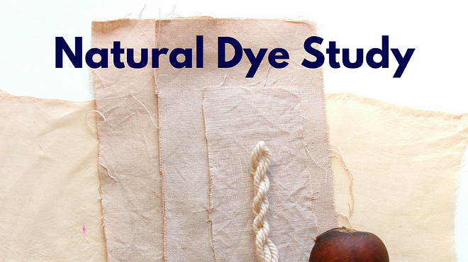 Image: Natural Dye Study