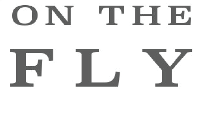 Image: On The Fly Story Slam