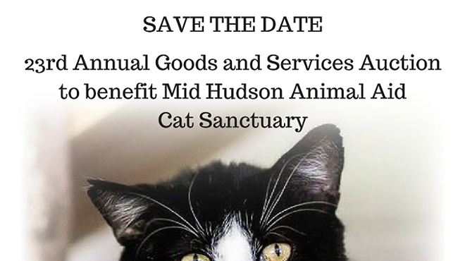 Image: Goods and Services Auction