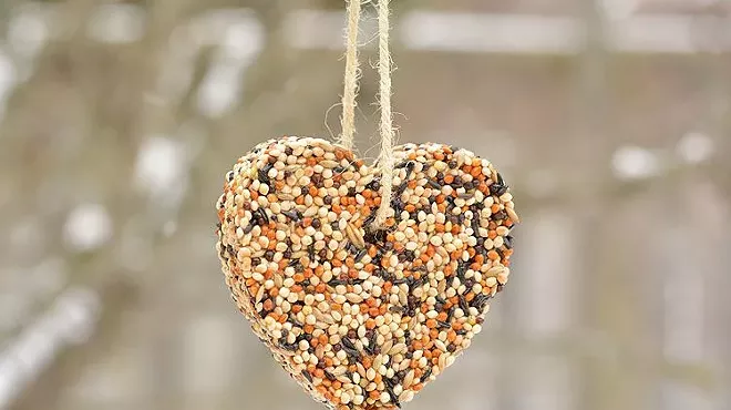 Image: A Partridge in a Pear Tree: Bird Seed Ornament Workshop