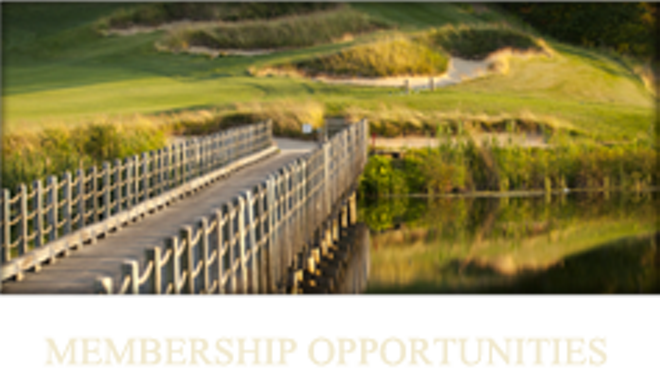 Image: Annual Support Connection Golf Outing