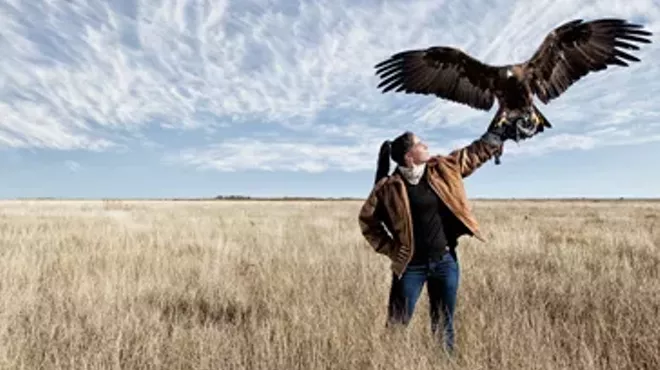 Image: Birds of Prey Day - Green Chimneys