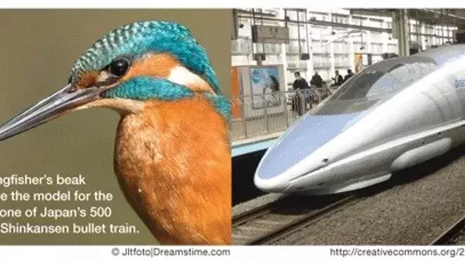 Image: Biomimicry:Using Nature's Ideas to Solve Human Problems