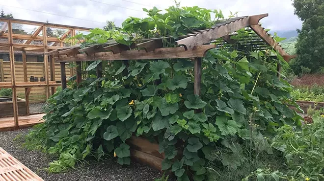 Image: A Chef's Garden in the Catskills