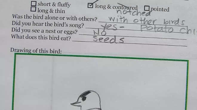 Image: Nature Journaling