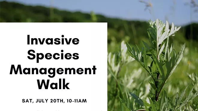 Image: Invasive Species Identification and Management Walk