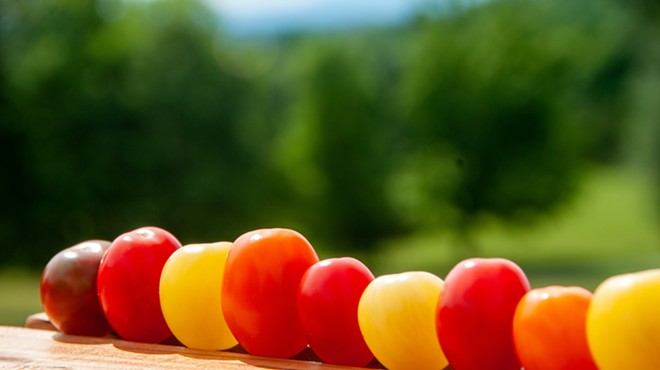 Celebrate Summer's Bounty at Fat Apple Farm and Farm + Field's Tomato Feast