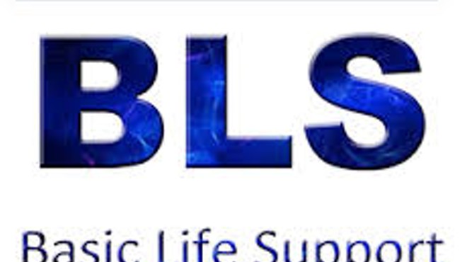 American Heart Association Basic Life Support (BLS) Provider Certification