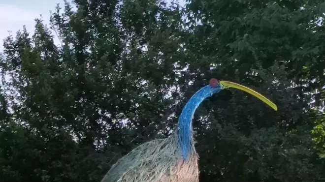Image: The Farm Project 2019