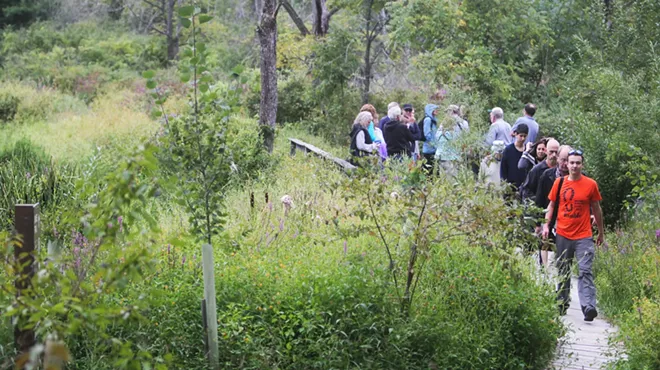 Image: Hudson Valley Ramble Walk