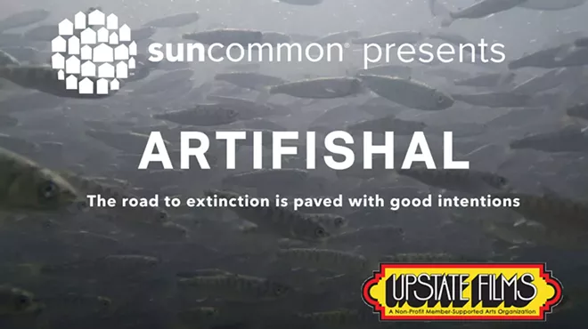 Image: Artifishal