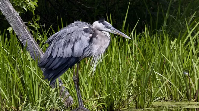 Image: Orange County: A Celebration of Its Culture, Land, and People