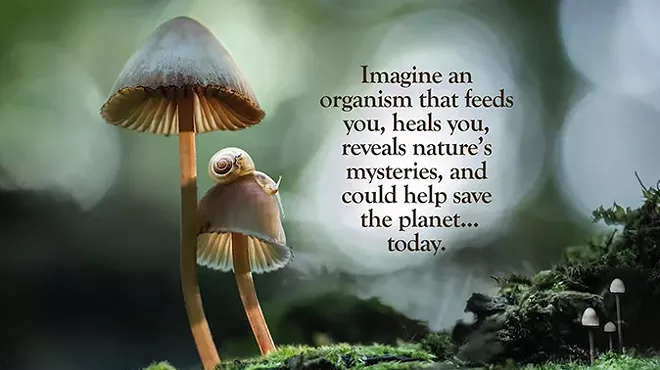 Image: Fantastic Fungi