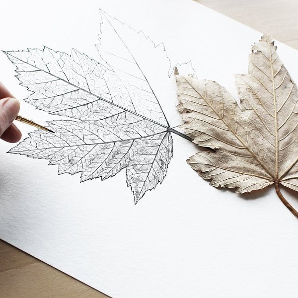 Art Night Out: Nature in Ink