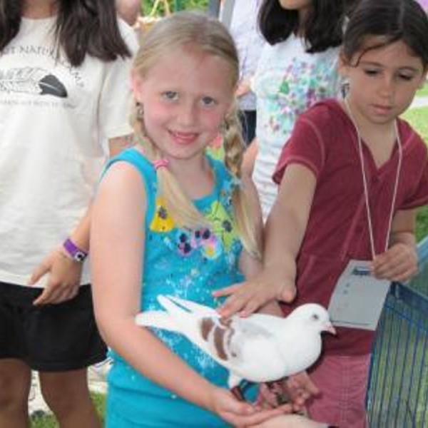 11th Children's Earth & Water Festival