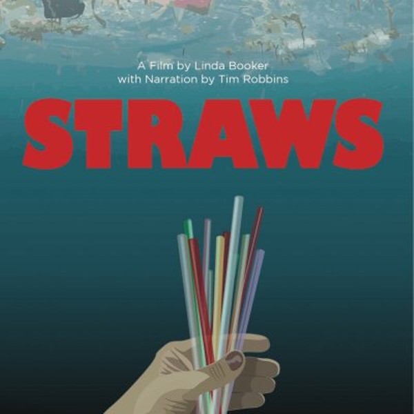 Straws: Presented by the High Meadow Drawdown Eco-Challenge Team