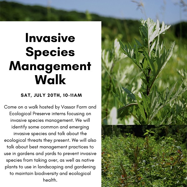 Invasive Species Identification and Management Walk