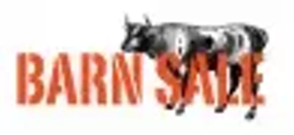 Unison Art Center's Annual Barn Sale