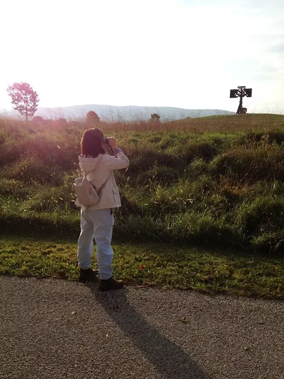 25bbc311_bird_watching.webp