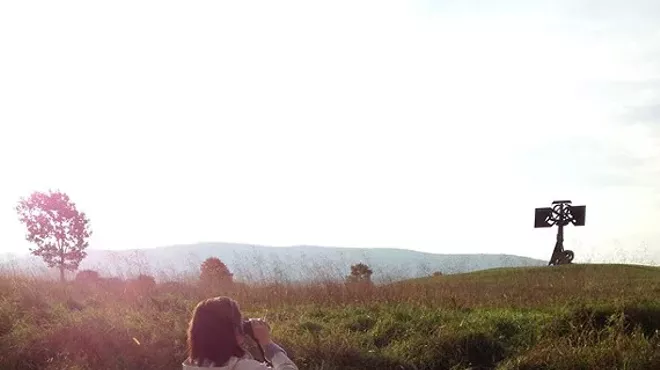 Image: Walk: Birds of Storm King