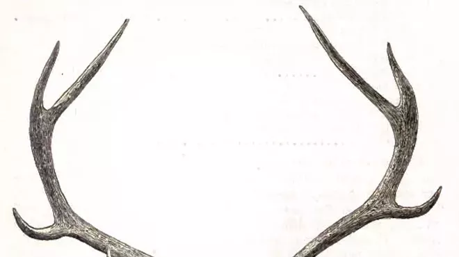 Image: Wild Game Dinner