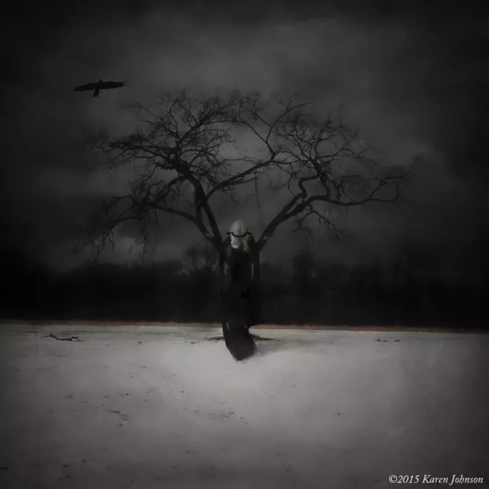 Witch Tree