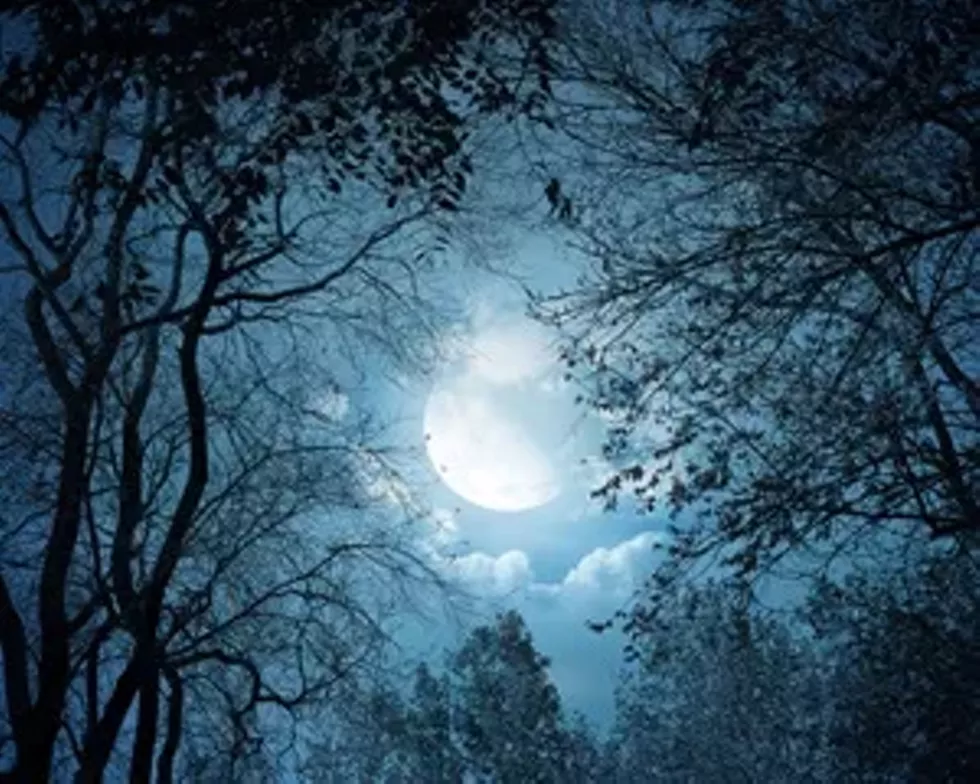 eaa7a608_full-moon_header_300.webp