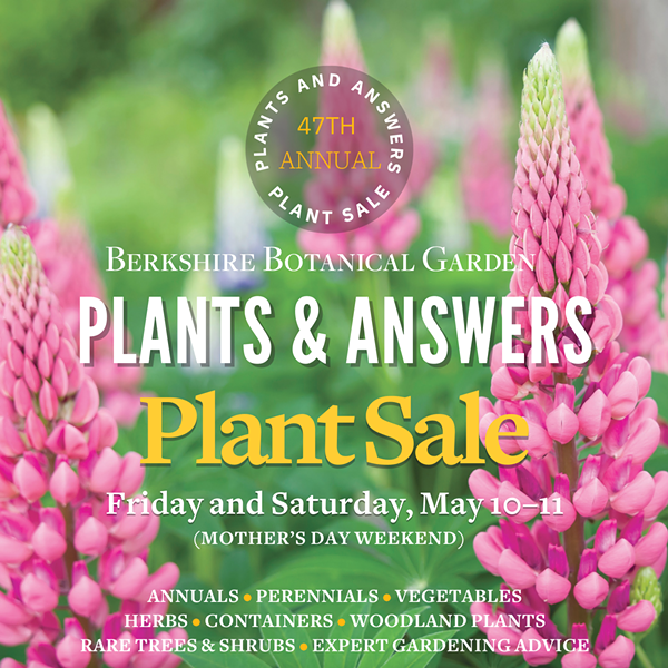 47th Annual Plants and Answers Plant Sale