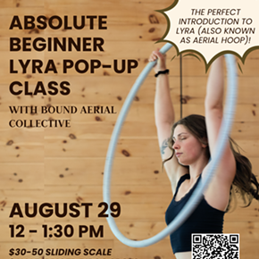 Image: Absolute Beginner Lyra Pop-Up Class
