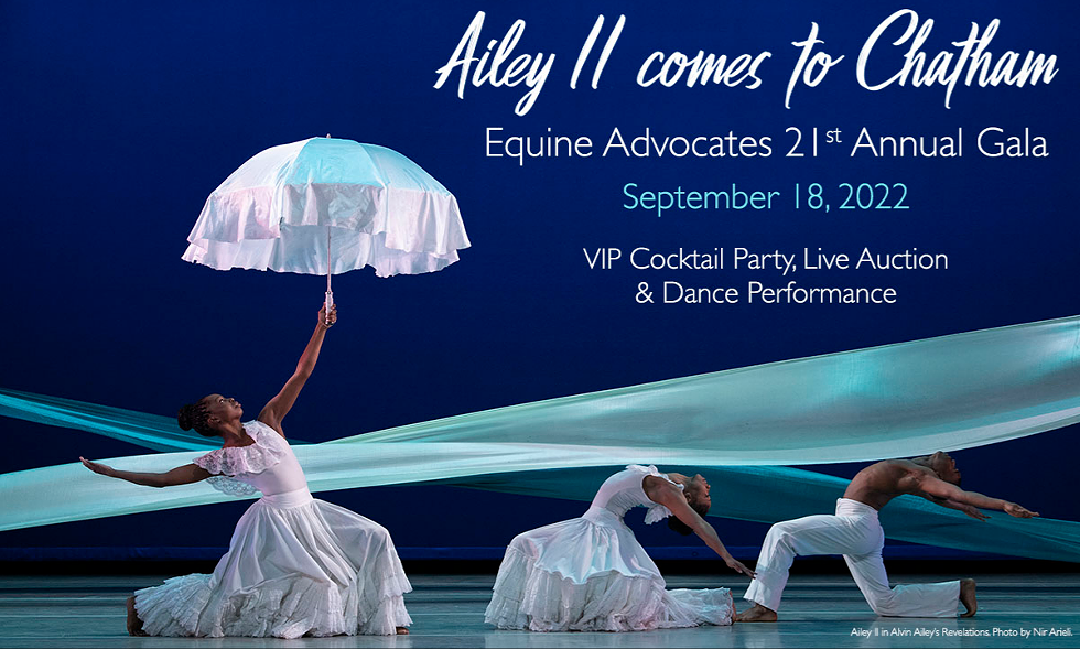 equine_advocates_21st_anniversary_gala.png