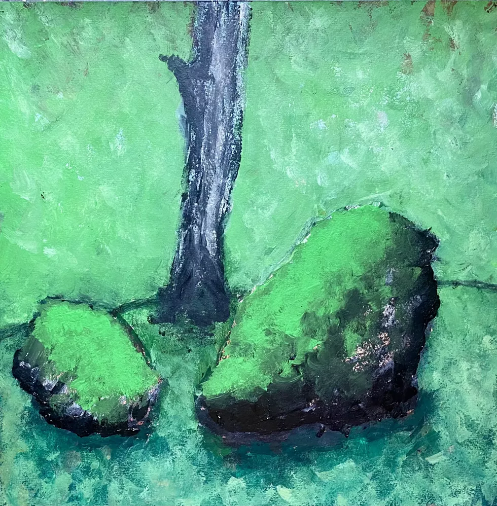 Cristian Pietrapiana, Moss on Rocks, 2024